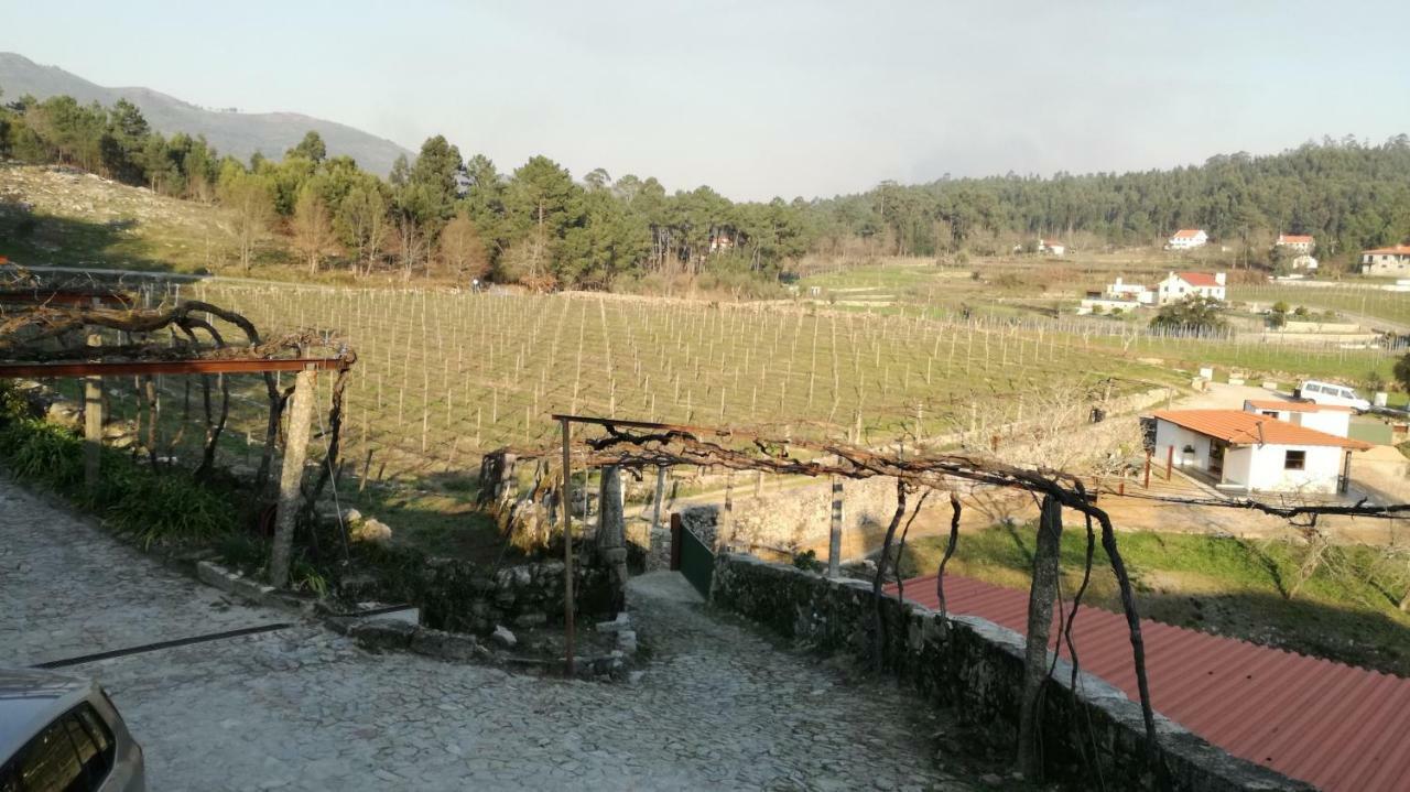 Vitorino dos Piães Casa Na Quinta De Valinhas 아파트 외부 사진